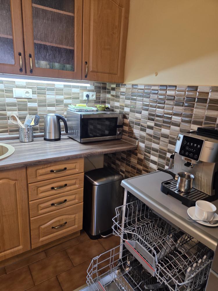 Pohled do apartmánu 1 